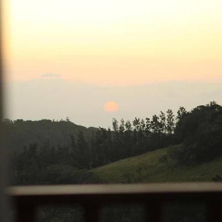 Hotel Bosque Verde Lodge Monteverde Номер фото