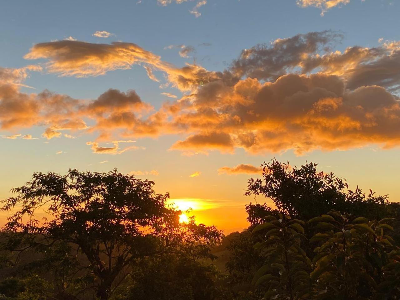 Hotel Bosque Verde Lodge Monteverde Екстер'єр фото
