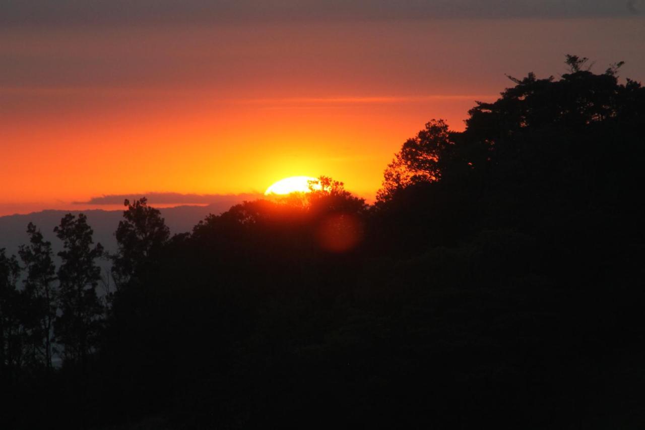 Hotel Bosque Verde Lodge Monteverde Екстер'єр фото