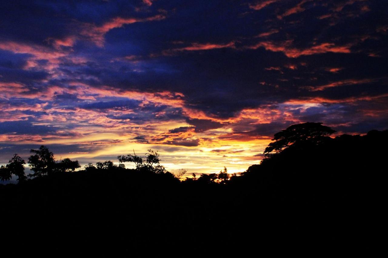 Hotel Bosque Verde Lodge Monteverde Екстер'єр фото
