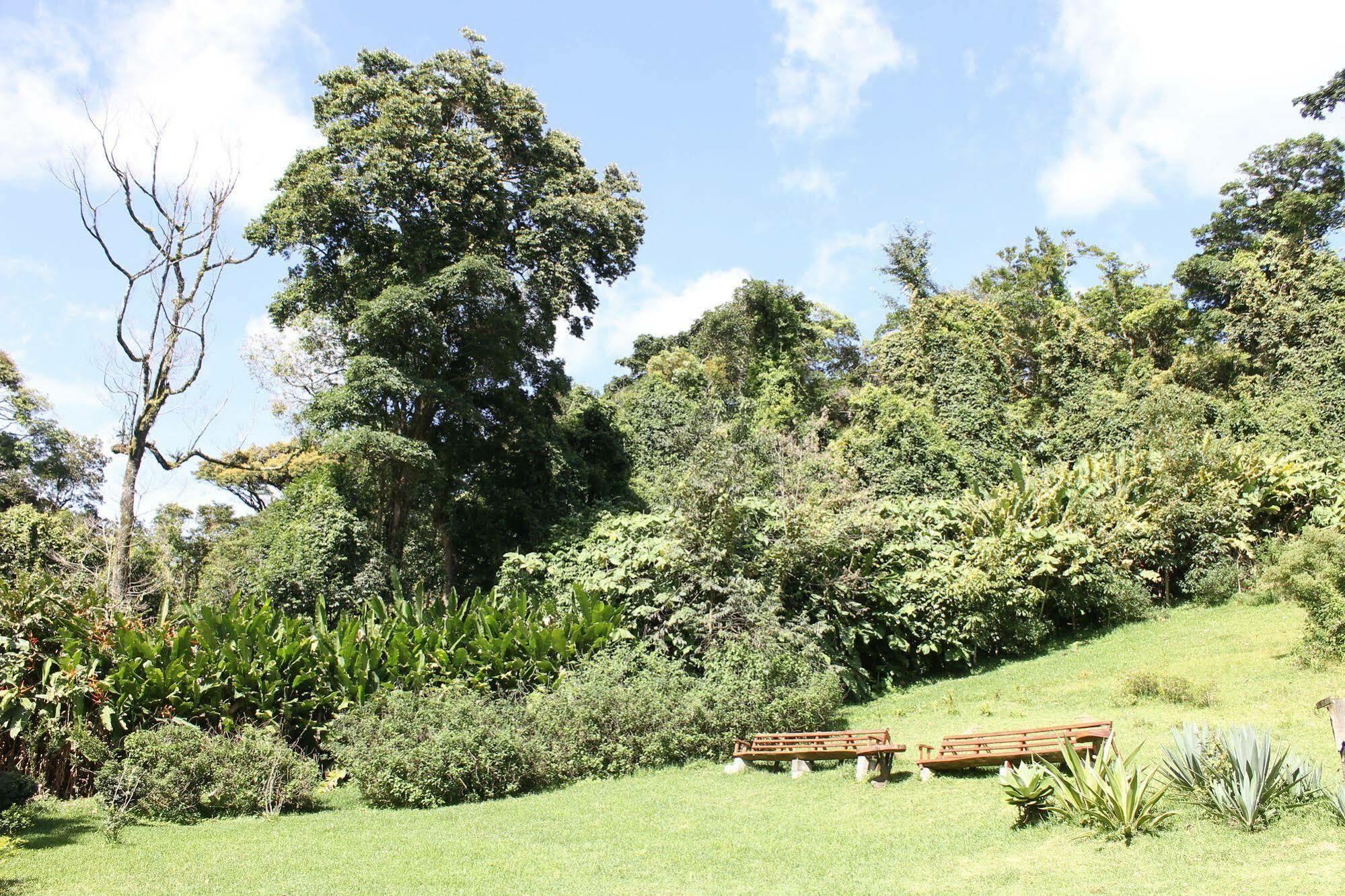 Hotel Bosque Verde Lodge Monteverde Екстер'єр фото