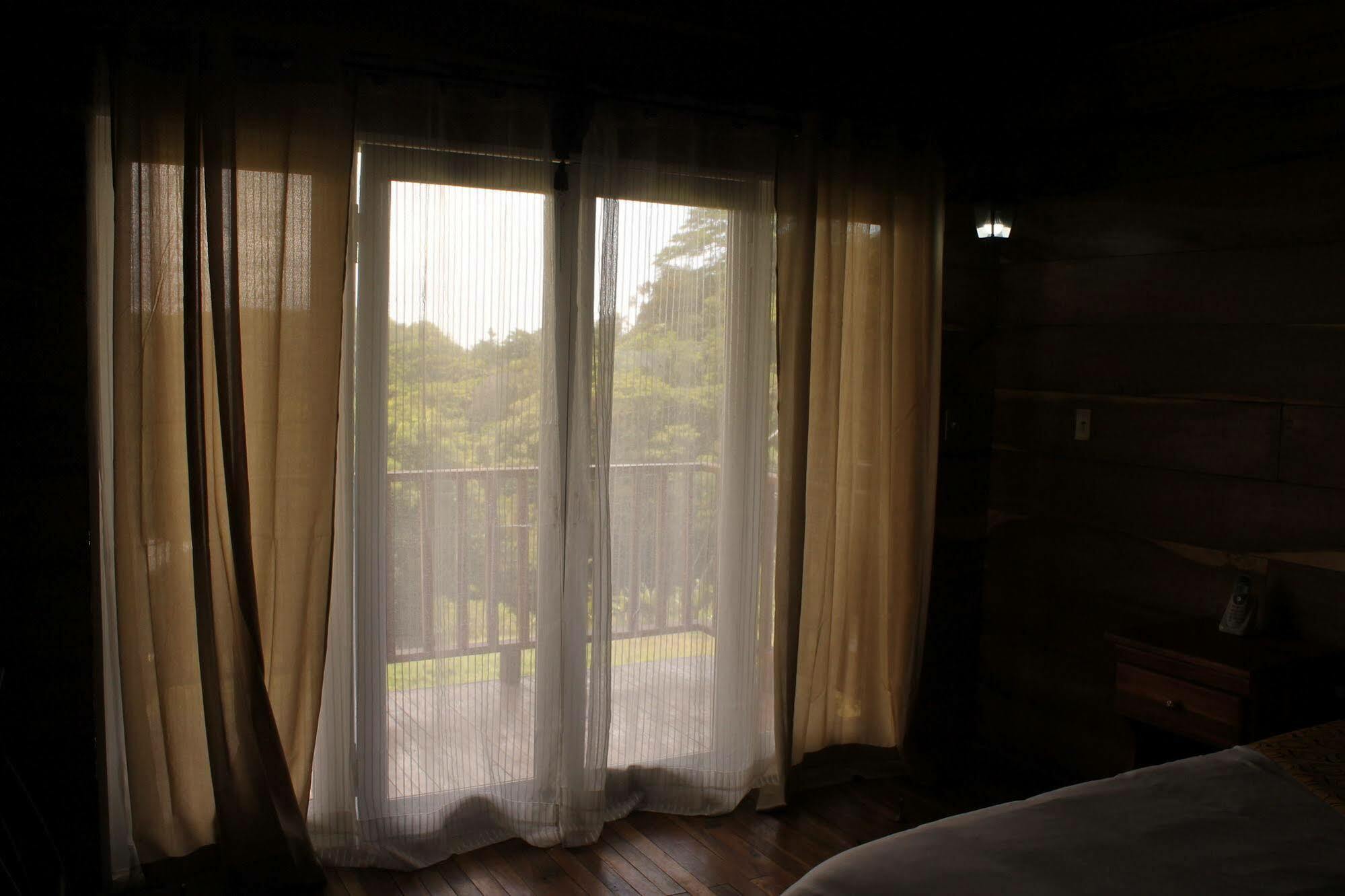 Hotel Bosque Verde Lodge Monteverde Екстер'єр фото
